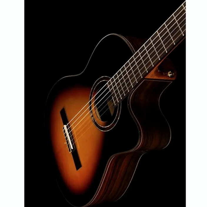 Et Test de la guitare Ortega RCE158SN-TSB