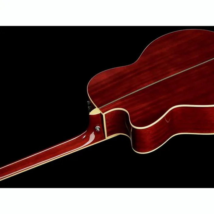 Et Test Guitare acoustique Larry Carlton A4-G VS