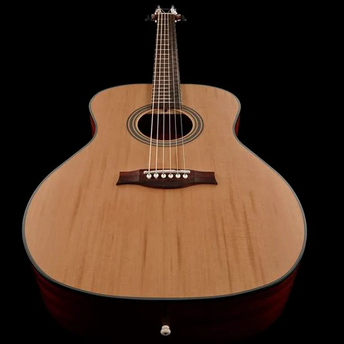 Guitare Acoustique Stanford Radiotone Studio 49 G