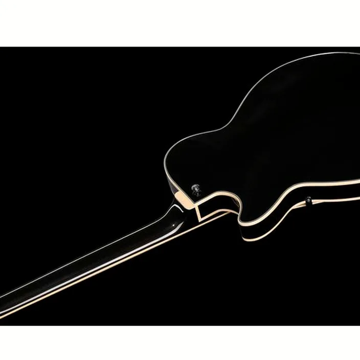 Guitare DAngelico Premier SS Black Flake