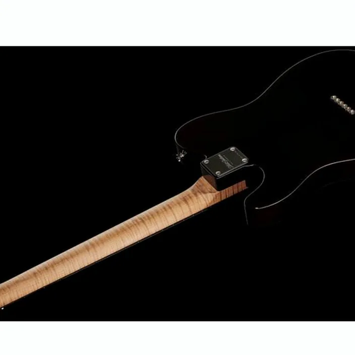 Guitare Xotic Guitars Xotique XTC Spalted Maple Aged