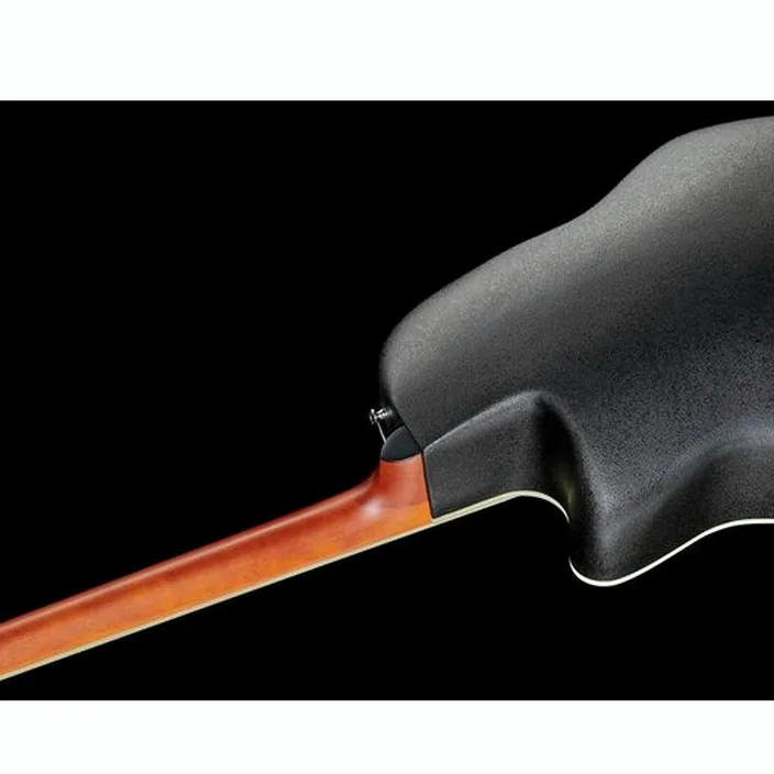 Guitare Acoustique Applause Traditional AB24-5S