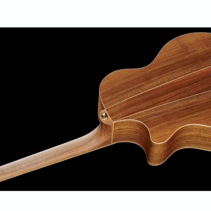 Guitare Acoustique Cole Clark AN2EC-RDBL-SB