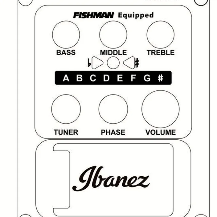 Guitare Acoustique Ibanez AEWC11-DVS