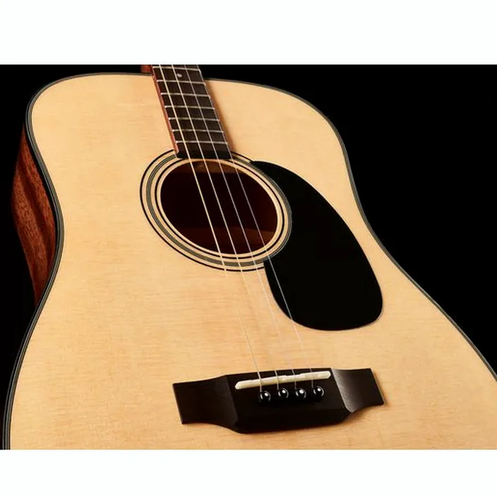 Guitare Harley Benton Custom Line CLT-20S NT w/Bag