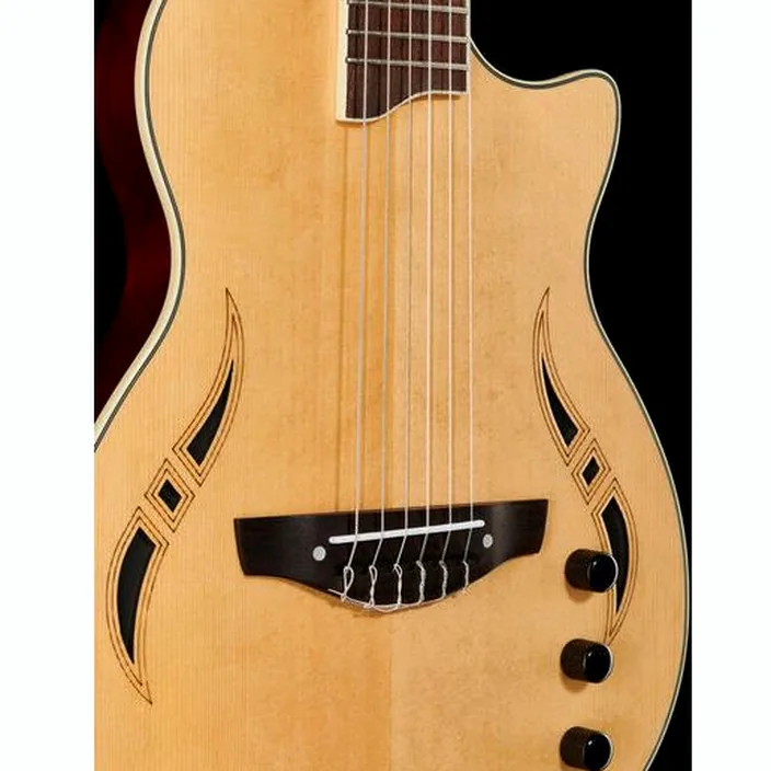 Guitare Harley Benton Custom Line Nashville Bundle