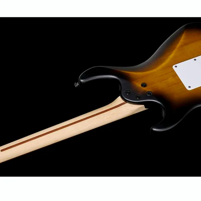 Cort G110 Open Pore Sunburst : Avis, Test et Comparatif