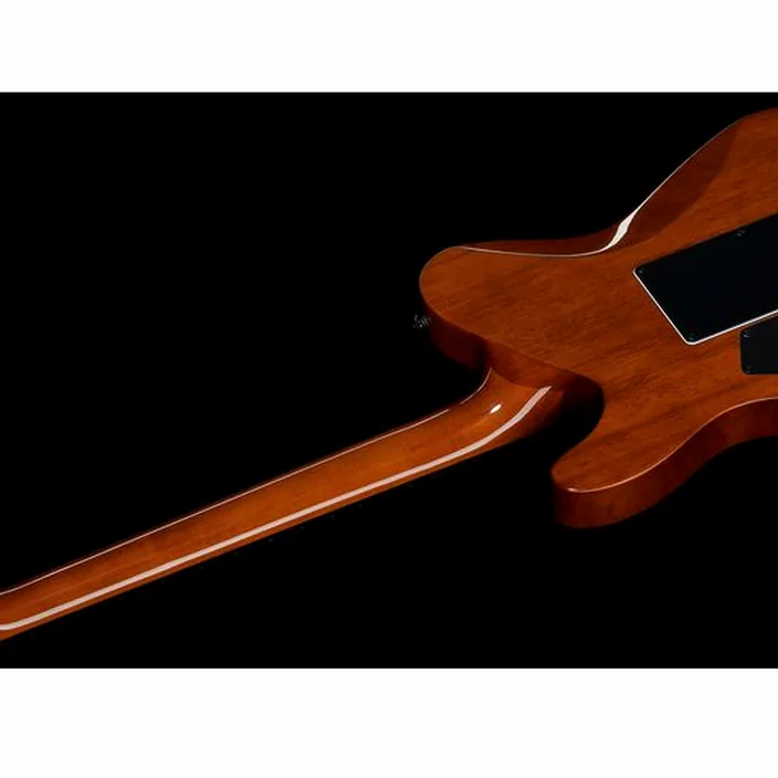ESP LTD TE-1000ET Koa Natural : Test, Comparatif et Avis