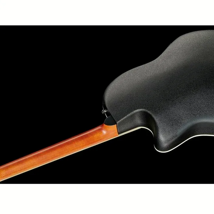 Guitare acoustique Applause Traditional AB28-5S : Test & Avis