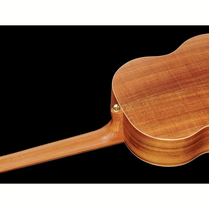 Guitare Acoustique Cole Clark LL2E-BLBL - Avis, Comparatif, Test