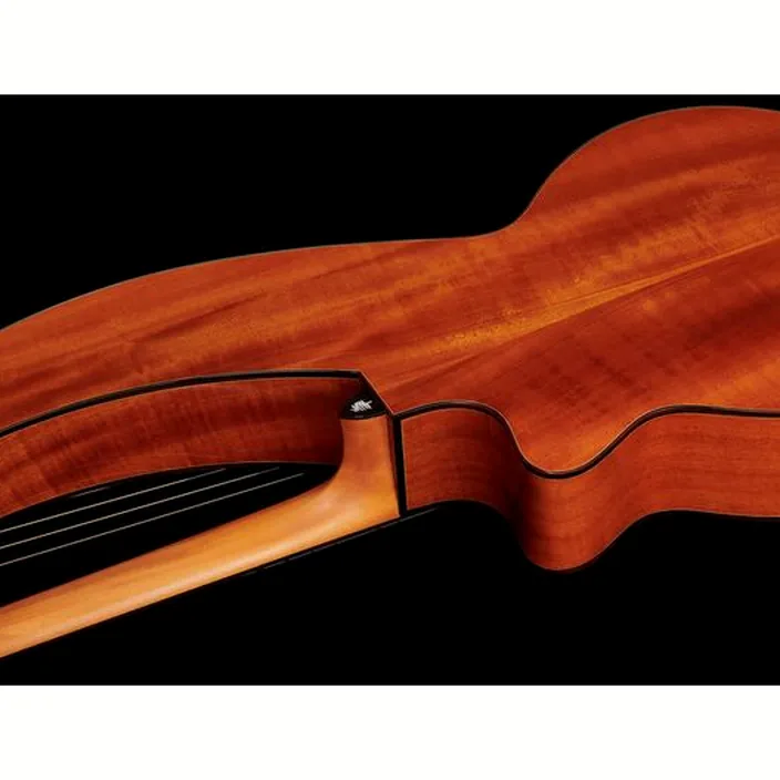 Guitare Timberline Guitars T30HGc-e Harp Guitar / Test et Avis