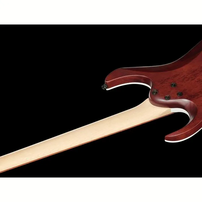 Ibanez RGA42FM-DEF : Avis, Test & Comparatif