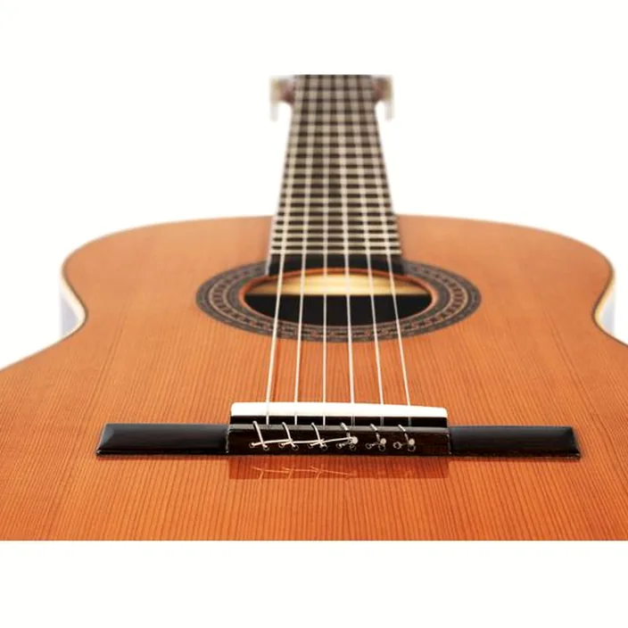 La guitare classique Ortega R225G-7/8 / Test & Avis