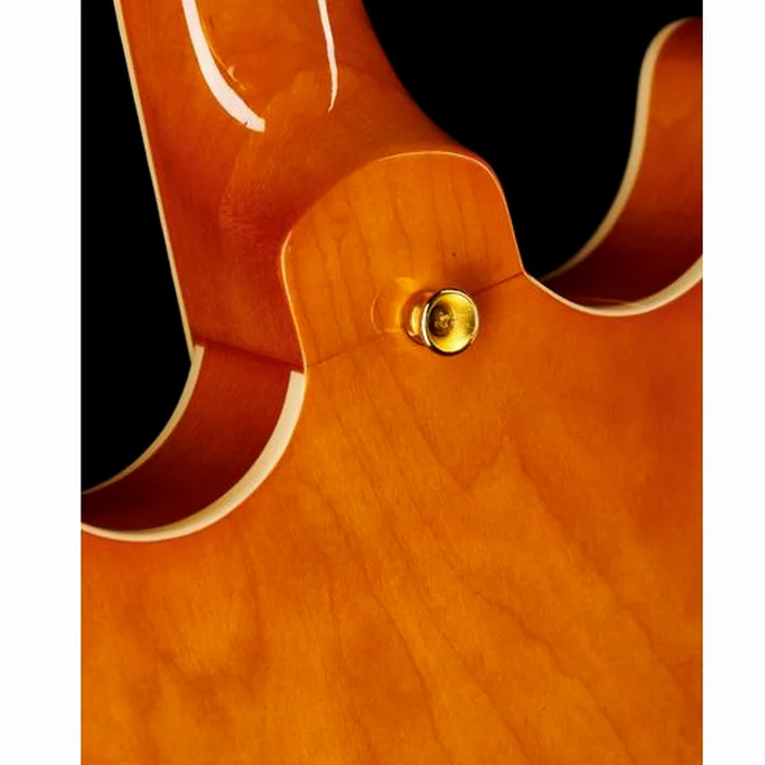 La guitare électrique Harley Benton HB-35Plus Metallic Plum Bundle / Avis, Test, Comparatif