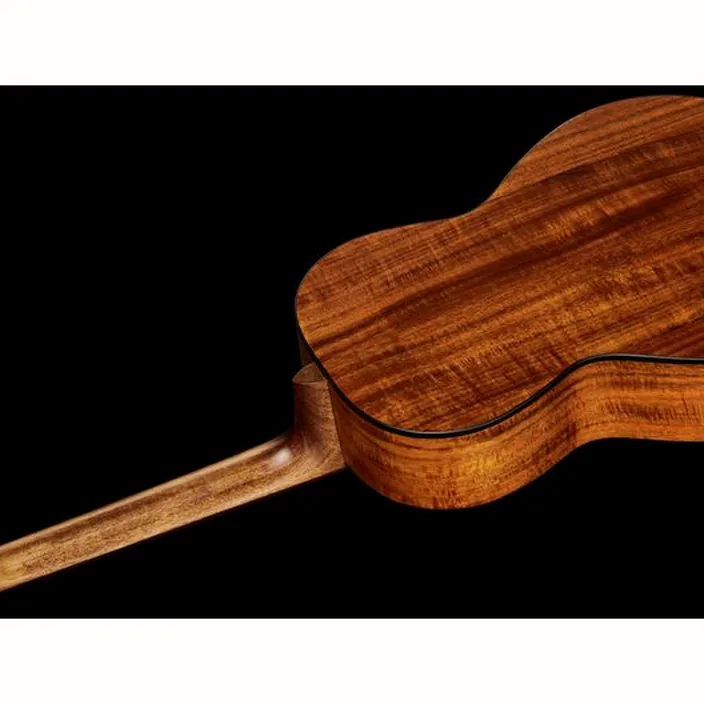La guitare Harley Benton CLP-15E Flame Koa Exotic Avis, Test