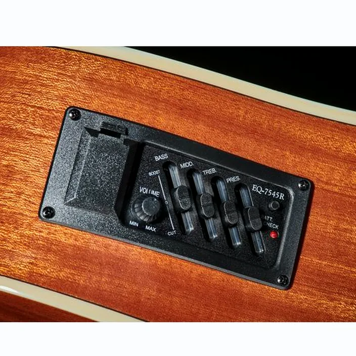 La guitare Harley Benton D-120CE VS Bundle Test, Avis, Comparatif