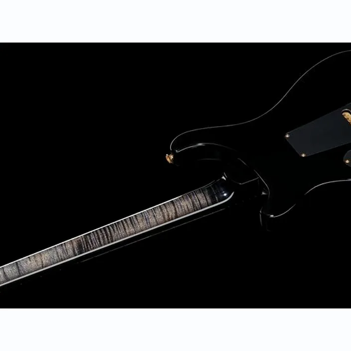 La guitare PRS Custom 24 Quilt 10 Top CC - Avis et Test