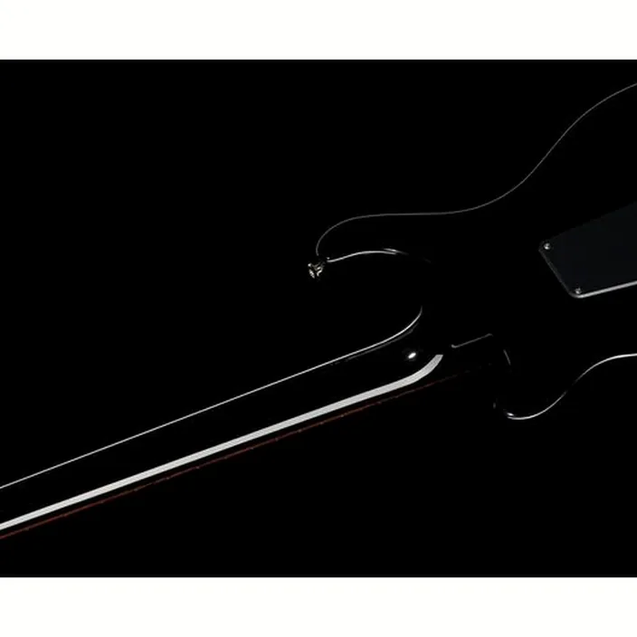 La guitare PRS S2 Custom 24 Birds CC , Test, Comparatif & Avis