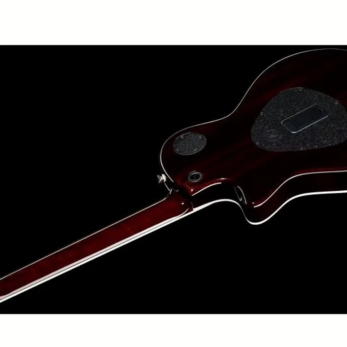 La guitare Taylor T5z Standard TS , Avis et Test