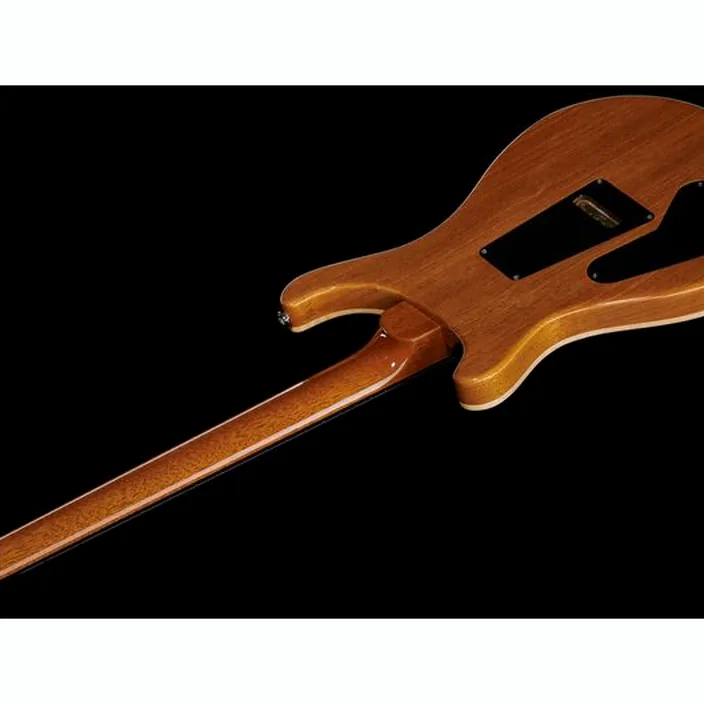 PRS Custom 24 ED , Comparatif, Avis et Test