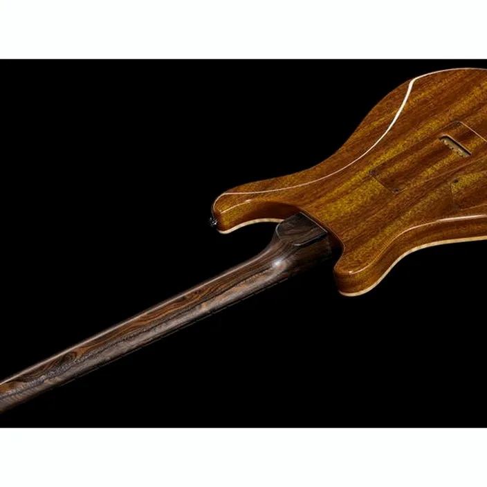 PRS Private Stock Modern Eagle V : Test, Comparatif, Avis