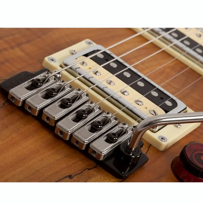 Schecter C-1 Exotic Spalted Maple SNVB : Avis, Comparatif & Test