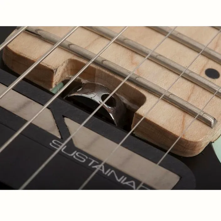 Schecter SVSS PT FR S SFG - Avis, Comparatif et Test