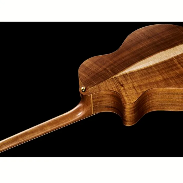 Guitare acoustique Cole Clark AN3EC-EDBL
