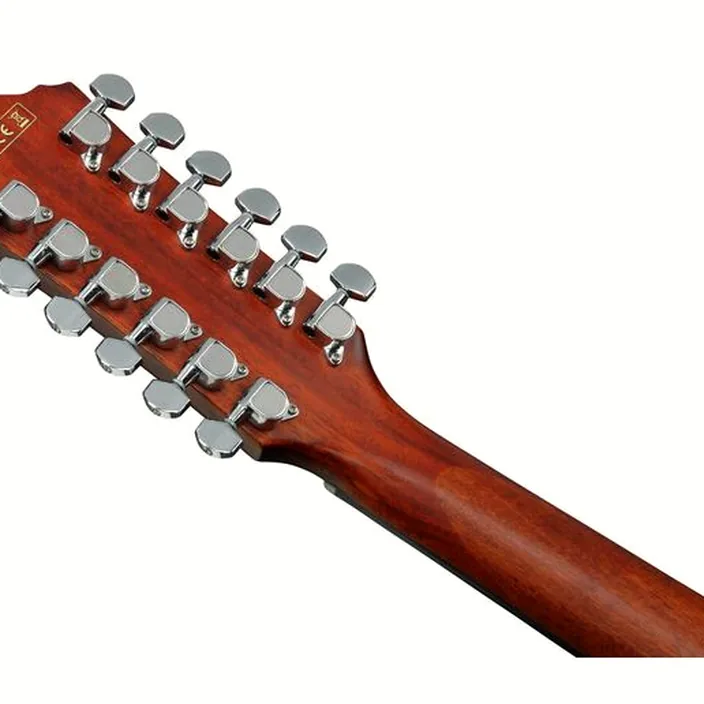Guitare Acoustique Ibanez AEG5012-BKH