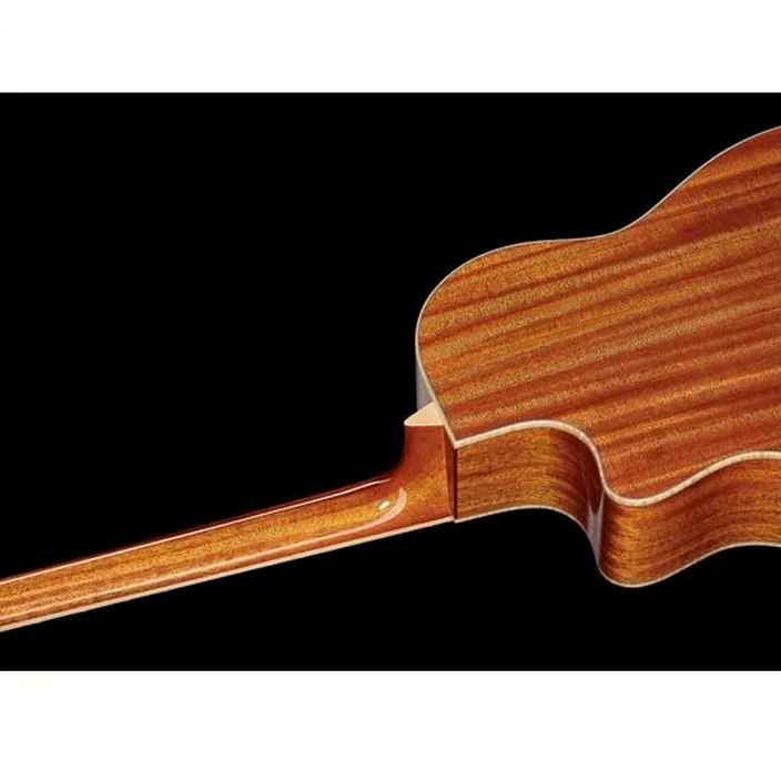 Guitare Larrivee LV-05E Mahogany