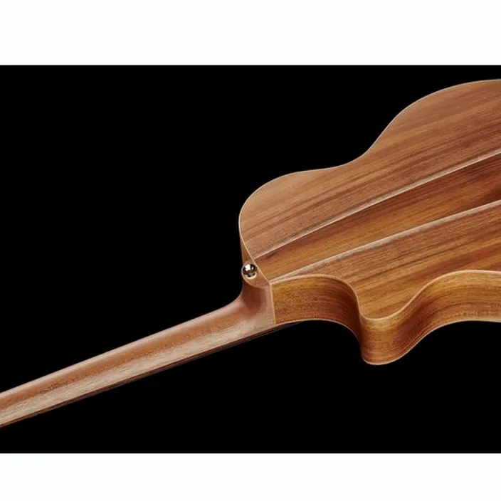 Guitare Acoustique Cole Clark TL2EC-BLBL Thin line