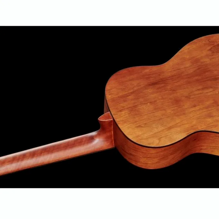 Guitare Classique Ortega R55DLX-BFT