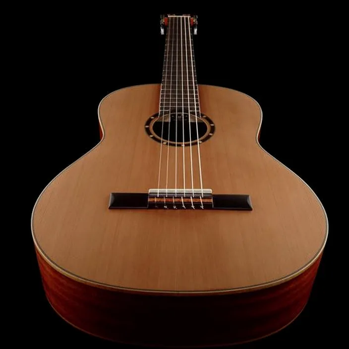 Guitare Ortega R122L