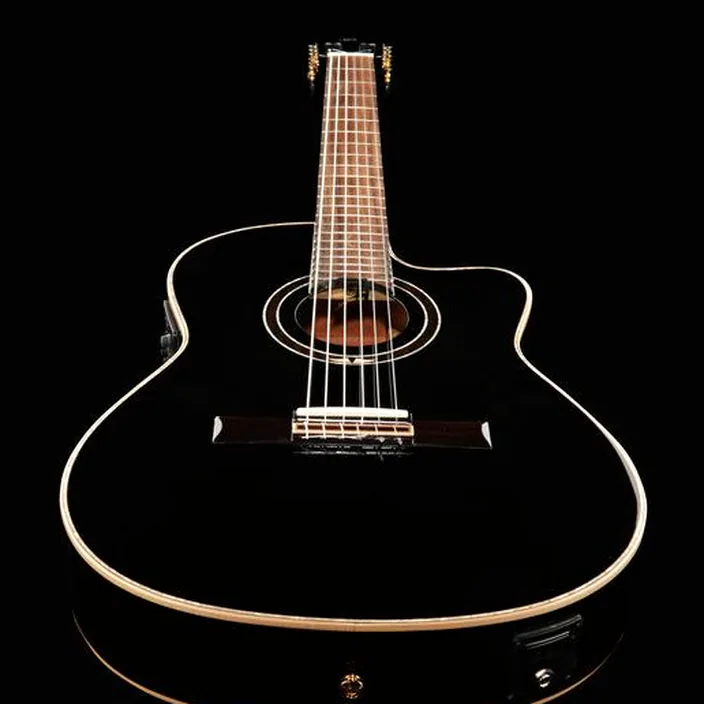 Guitare Ortega RCE138-T4BK