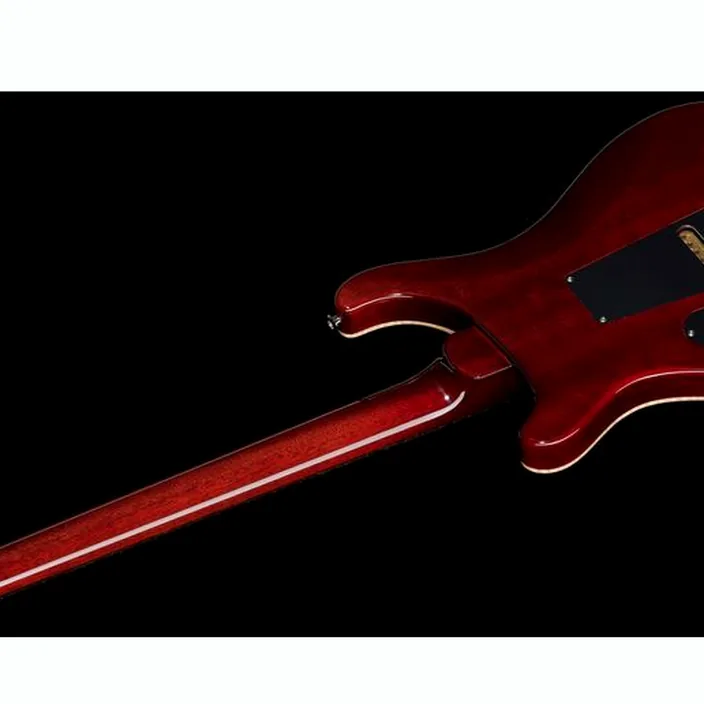 PRS Custom 24 CC