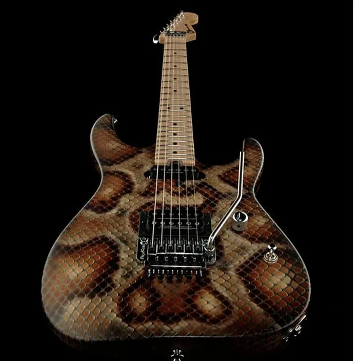 Et Avis Charvel Pro Mod DK WDM Snake