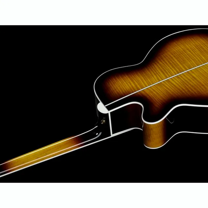 Et Avis de la guitare Acoustique Takamine EF450C-TTS