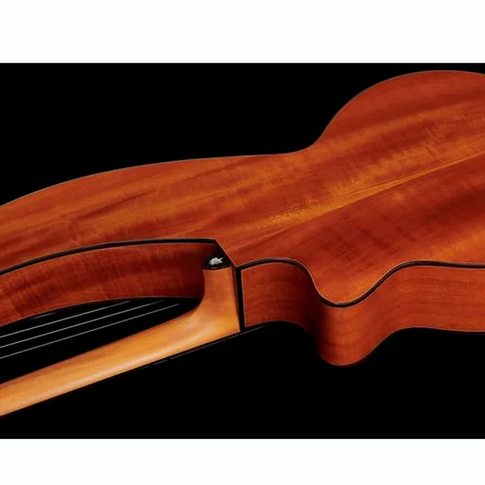 Et Avis de la guitare Acoustique Timberline Guitars T30HGc-e Harp Guitar