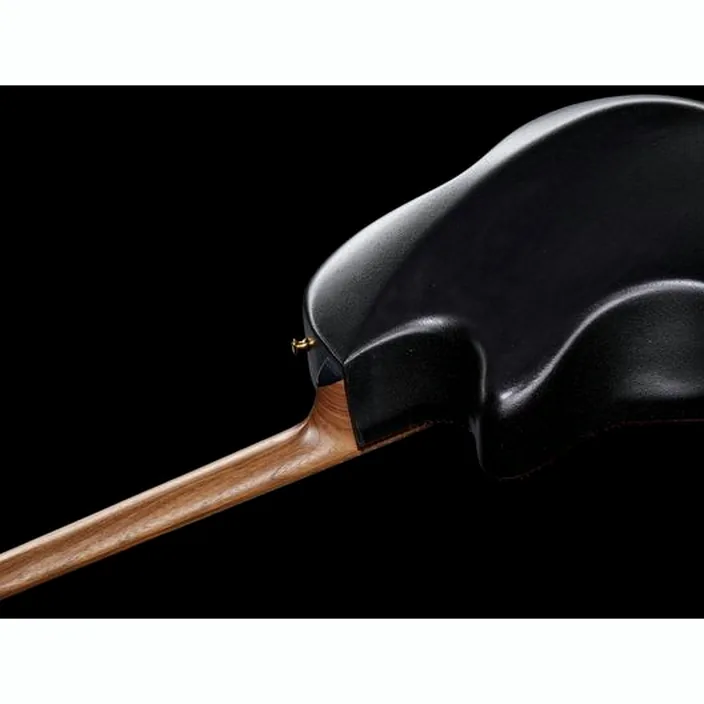 Et Avis de la guitare Adamas 2087GT-2 RRB