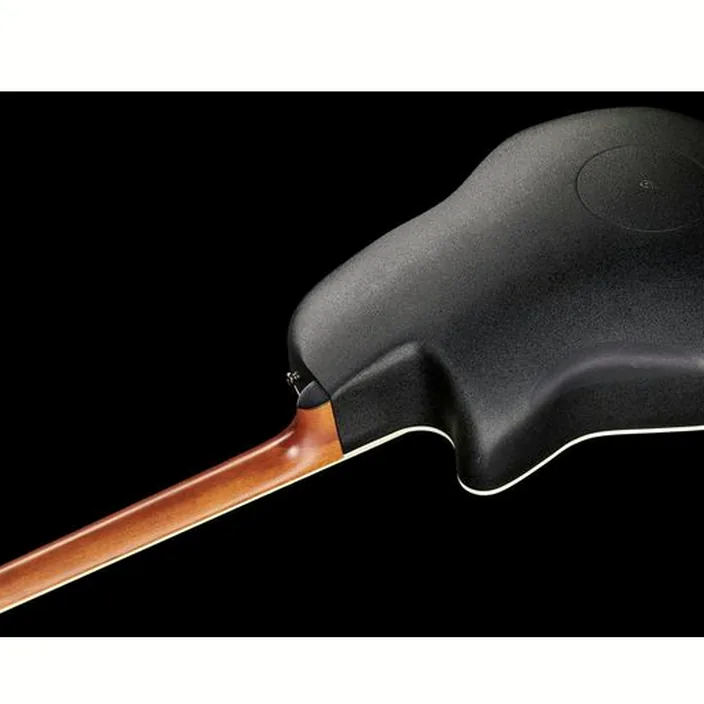 Et Avis Guitare Acoustique Applause Elite AE44-4S