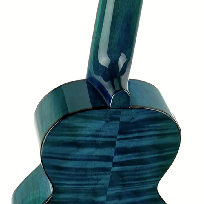 Et Avis Guitare Classique Ortega RGLE18BLF Guitarlele