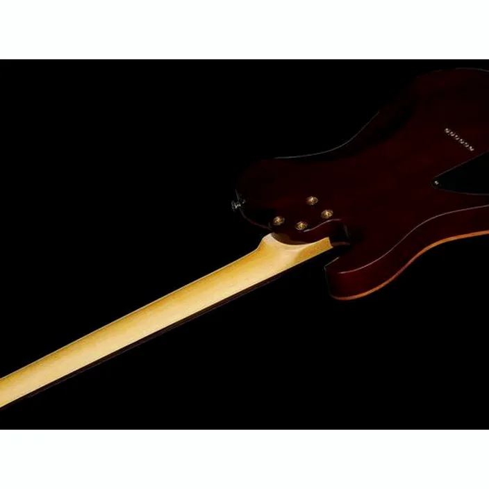 Et Avis Harley Benton Fusion-T HH HT EB PSP