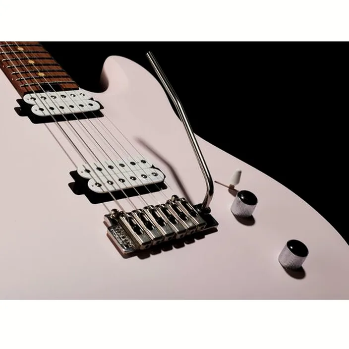 Et Avis Harley Benton Fusion-T HH Roasted SP Bundle