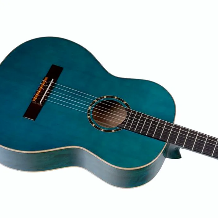 Et Test de la guitare Classique Ortega R121SNOC