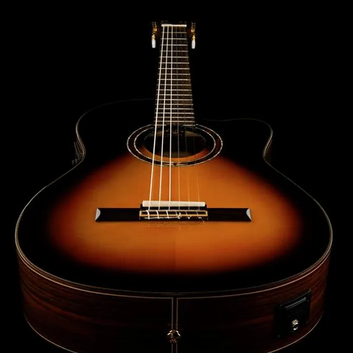 Et Test de la guitare Ortega RCE158SN-TSB