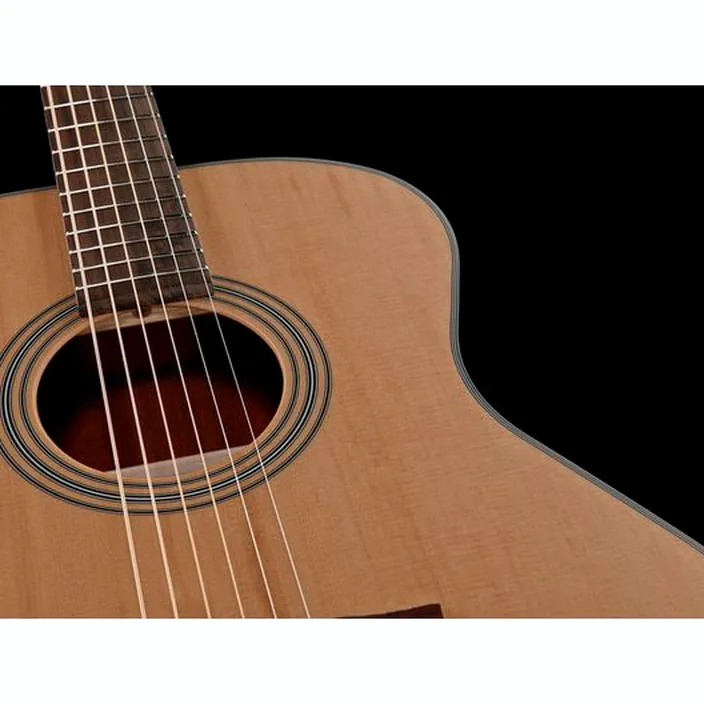 Guitare acoustique Stanford Radiotone Studio 49 G