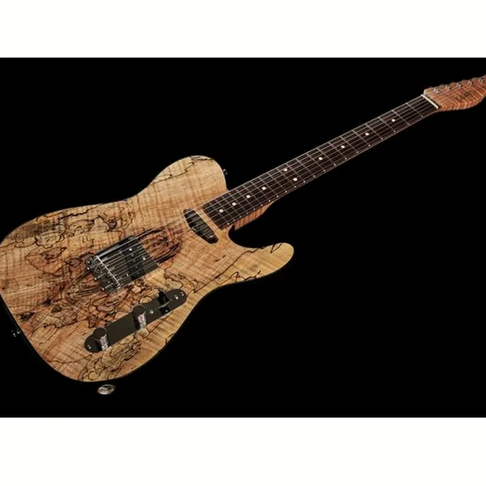 Guitare Xotic Guitars Xotique XTC Spalted Maple Aged