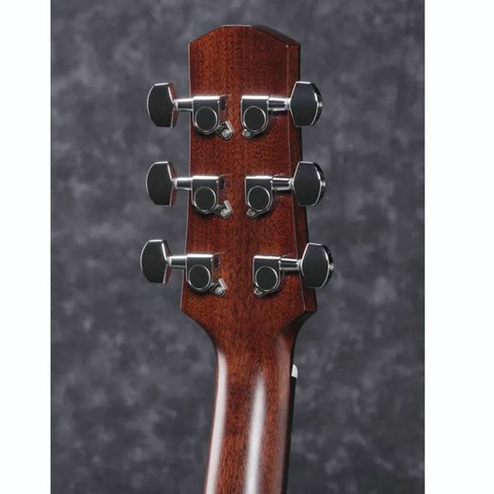 Guitare Ibanez AAD300CE-LGS
