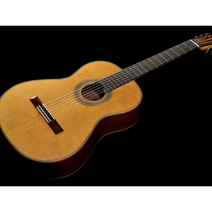 Guitare Martinez Munich Cedar Classic