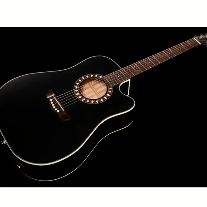 Guitare acoustique Harley Benton HB Custom Line CLD-10SC w/Bag / Test, Avis & Comparatif